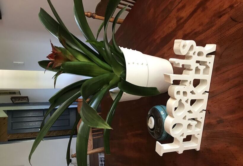 Goedvertrou Guest Farm