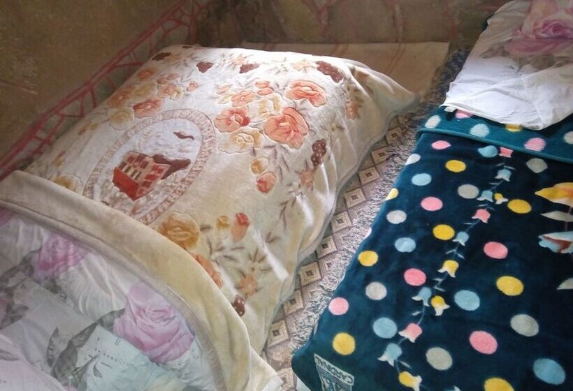 فندق فئة نجمة واحدة Auberge Amazigh