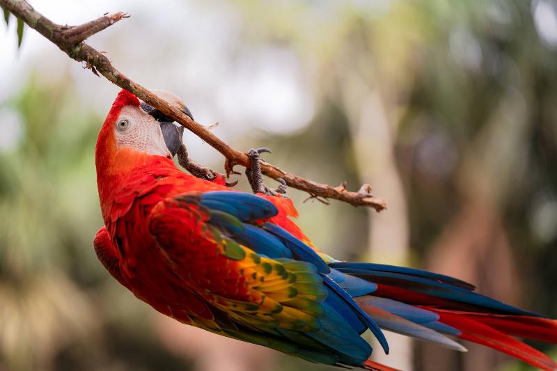 호텔 Amak Iquitos Ecolodge All Inclusive