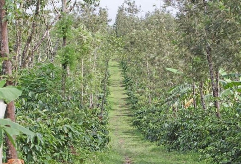 בית מלון כפרי Eka Resorts