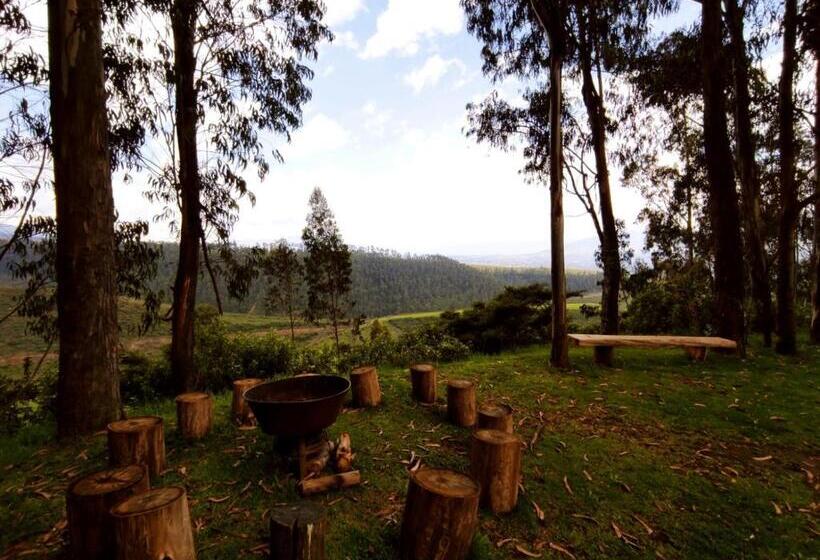 酒店 Hacienda Las Cuevas Terra Lodge