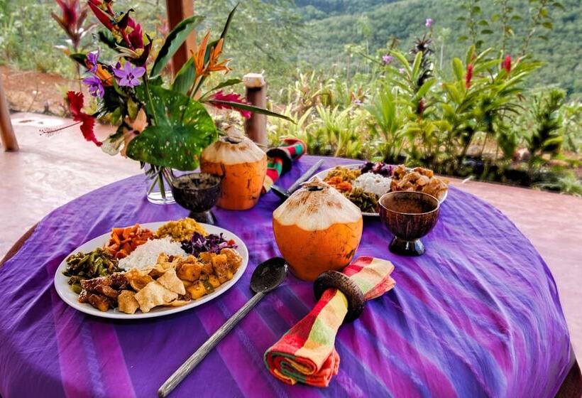 فندق Kurulu Estate