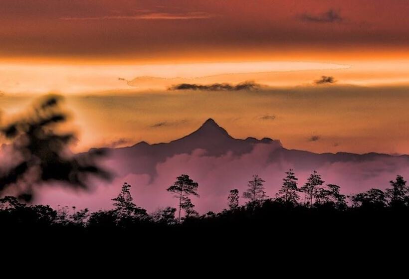 فندق Kurulu Estate