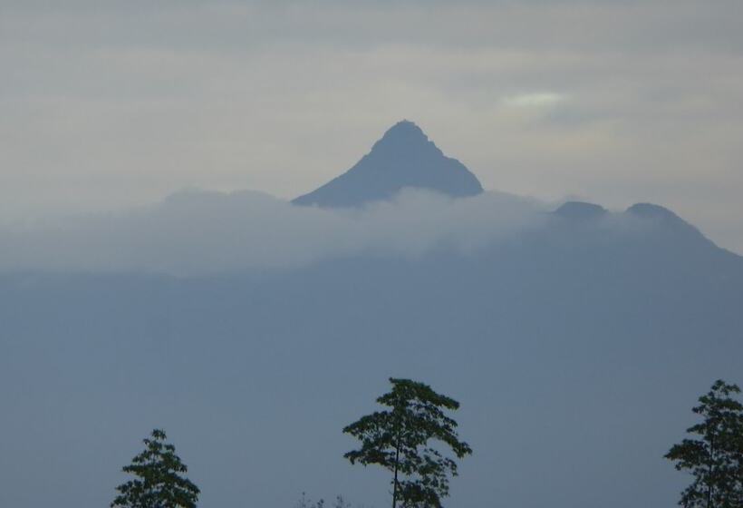 فندق Kurulu Estate