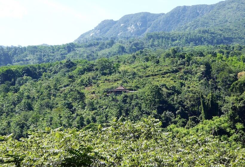 فندق Kurulu Estate