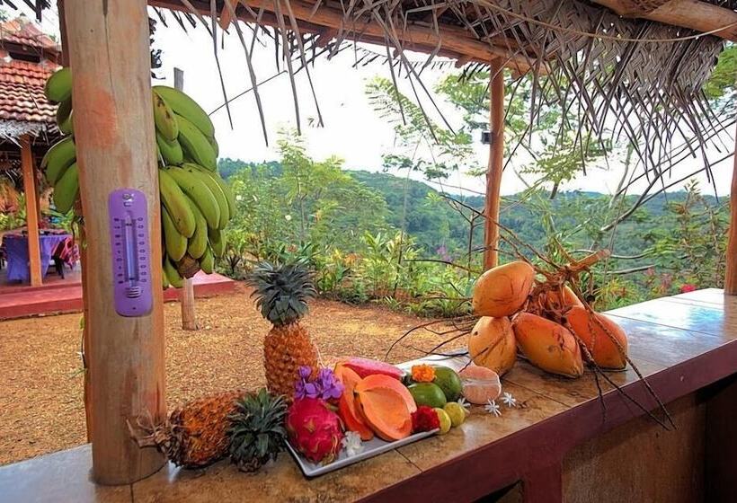 فندق Kurulu Estate