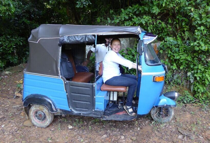 فندق Kurulu Estate