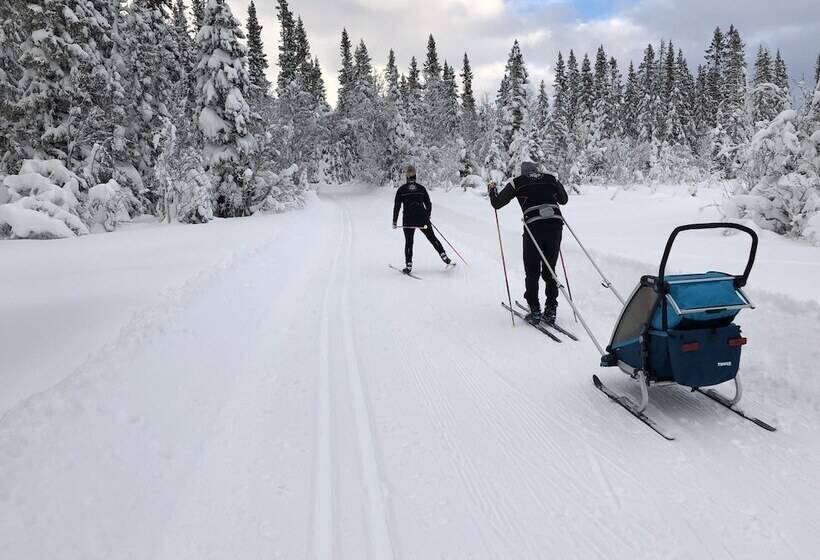 酒店 L Karolinen åre