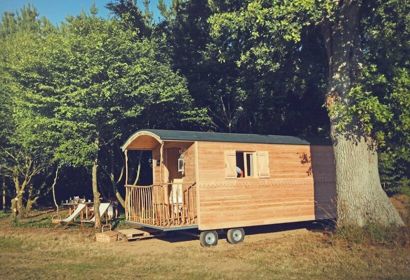 호텔 La Chouette Cabane