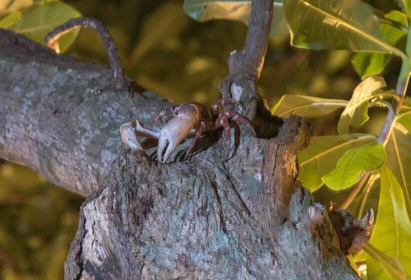 בית מלון כפרי Laoliang Beach
