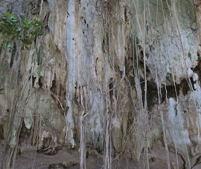 בית מלון כפרי Laoliang Beach