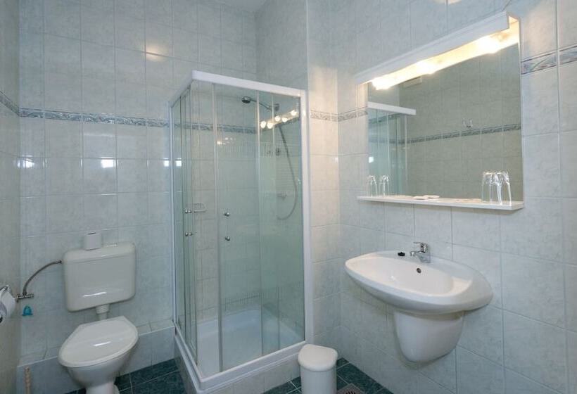 호텔 Leier Business