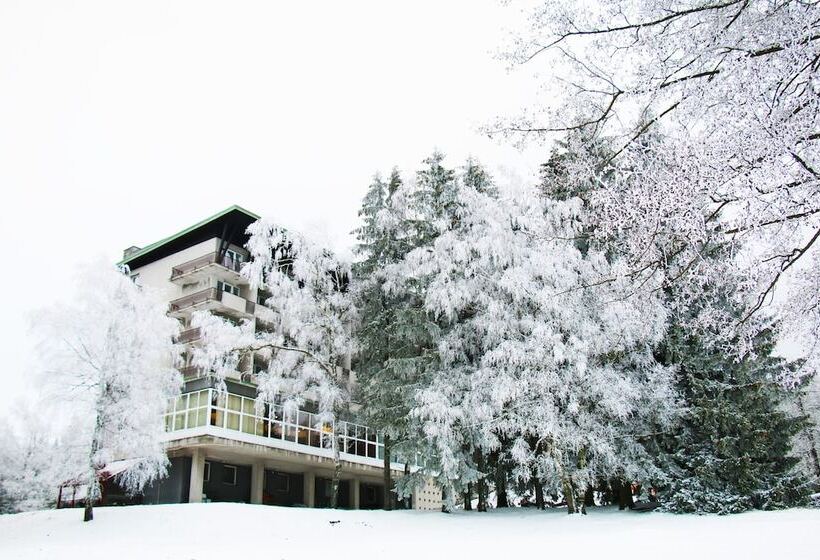 호텔 Medlov Depandance