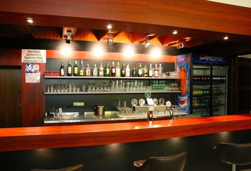 호텔 Medlov Depandance