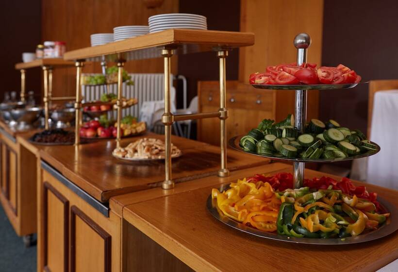 호텔 Medlov Depandance