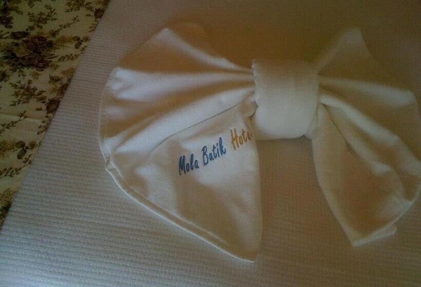 בית מלון כפרי Mola