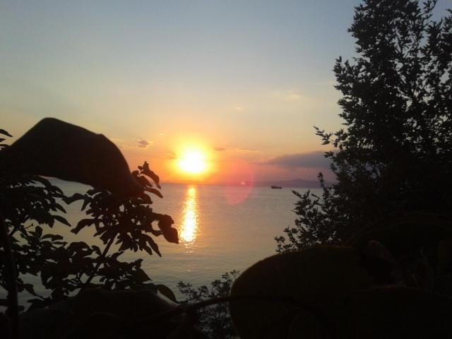 בית מלון כפרי Mola