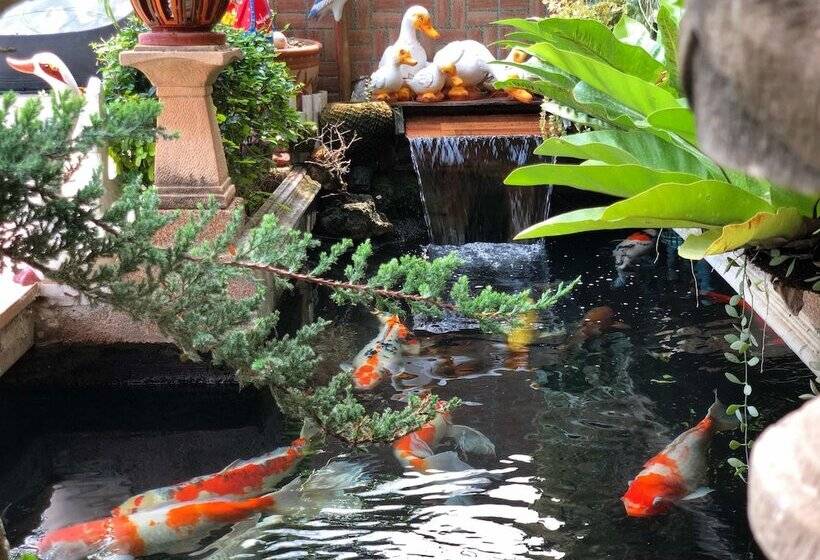 בית מלון כפרי Mourakot Resort