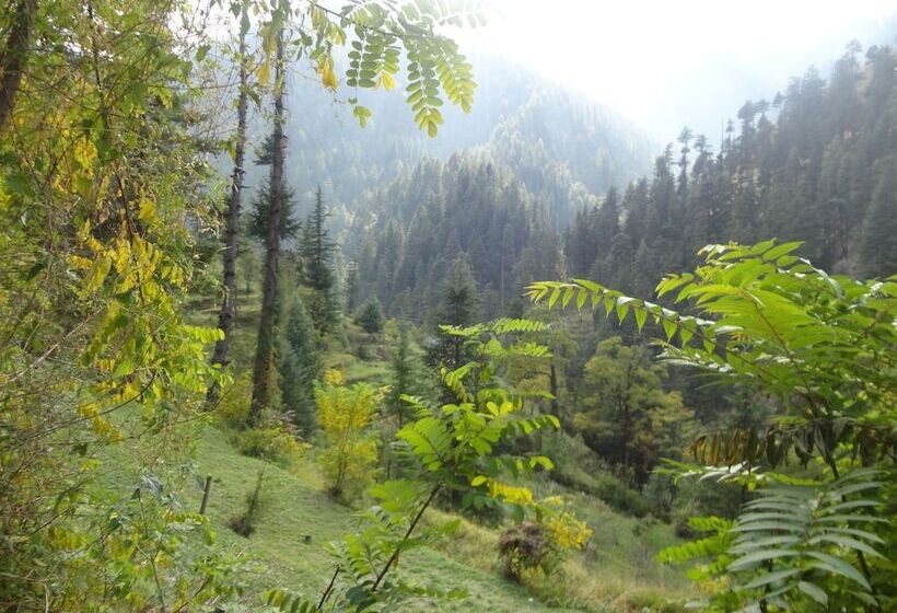 Отель Natures Lap Resort Jibhi