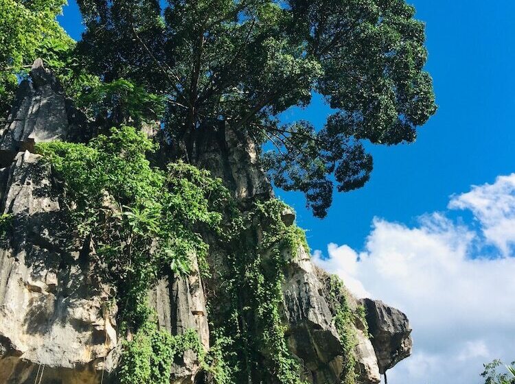 Отель Panida Goodwill