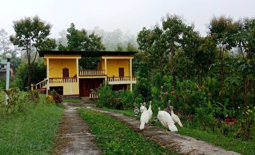 Hotel Phuchandang Resort