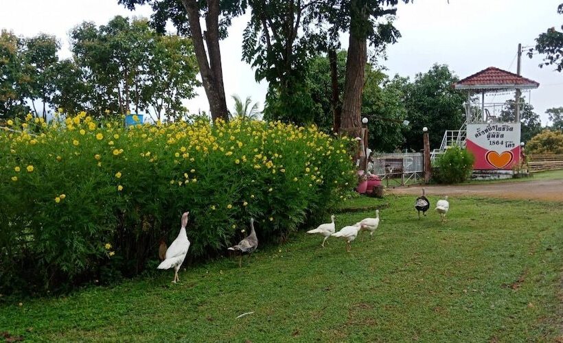 Hotel Phuchandang Resort