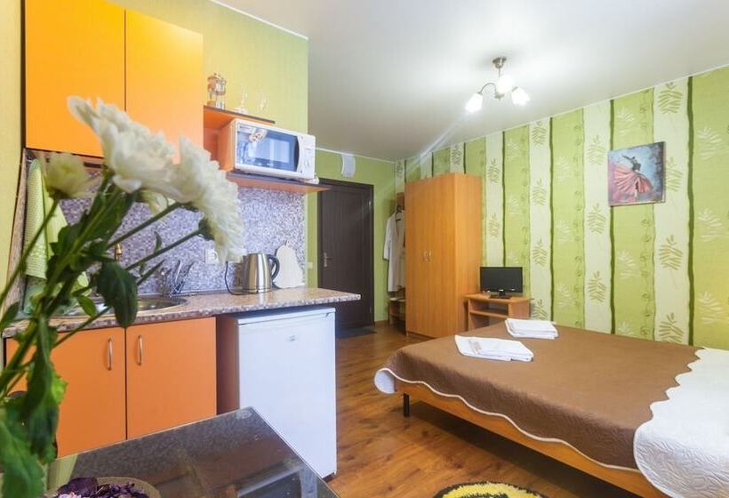 فندق Piterdom Novaya