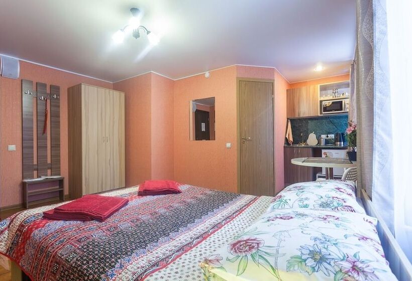 فندق Piterdom Novaya