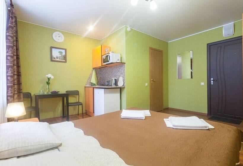 فندق Piterdom Novaya