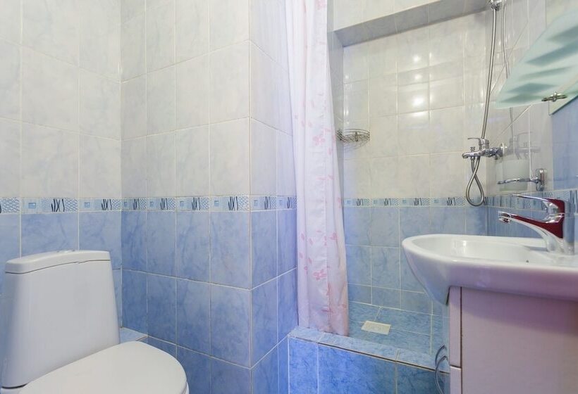 فندق Piterdom Novaya