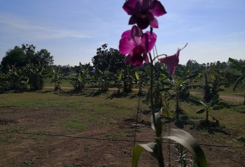 فندق Pumaka Resort