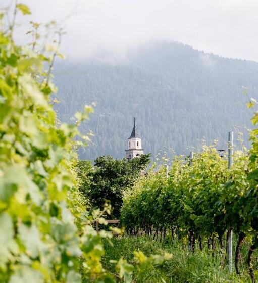 田舎風ホテル Agritur Maso Alle Rose B&b E Restaurant