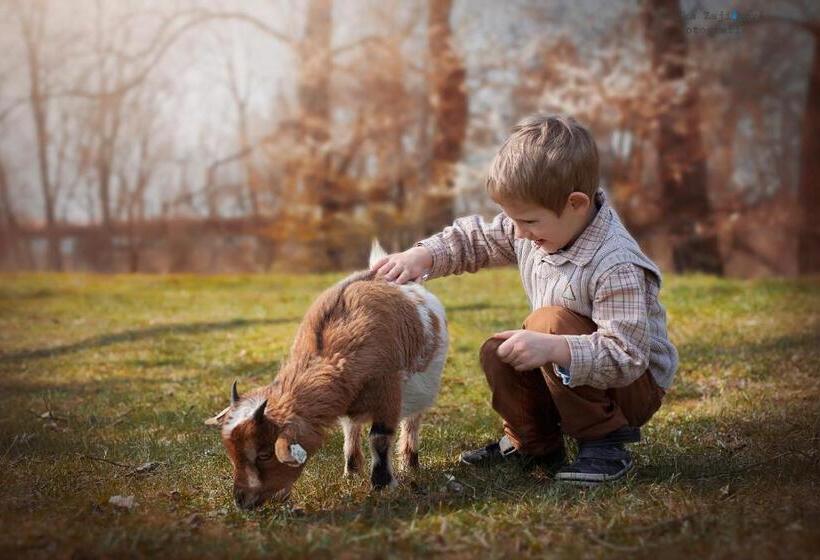 Сельский отель Zoopark Zelčín