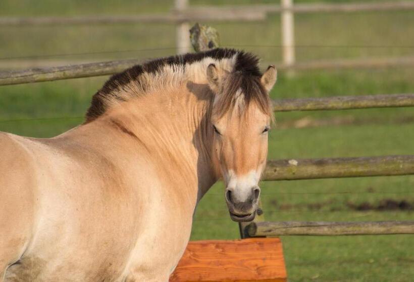 Сельский отель Zoopark Zelčín