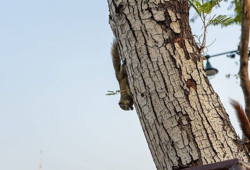 호텔 Sasi Nonthaburi