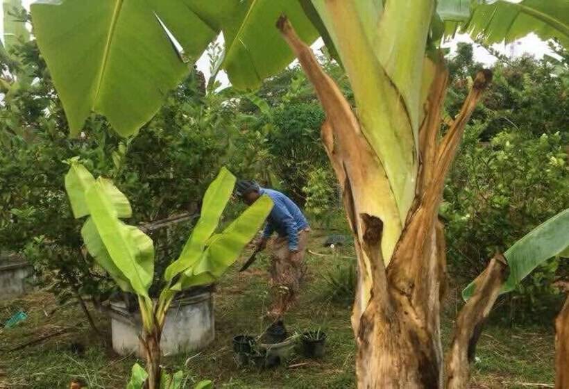 酒店 Songphu Homestay