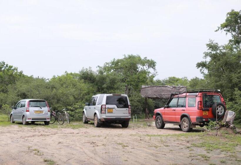 Отель The Backwaters Lodge