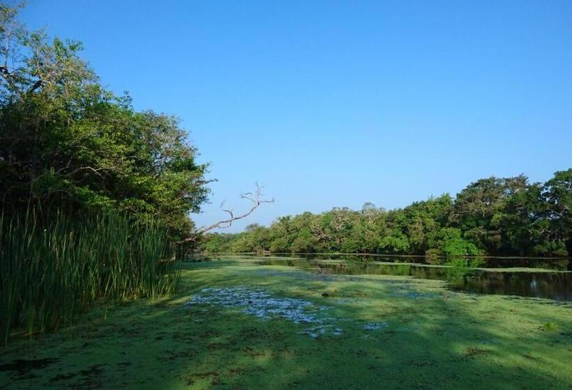 Отель The Backwaters Lodge