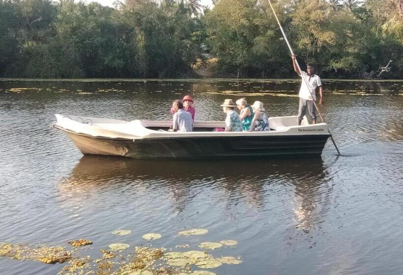 Отель The Backwaters Lodge