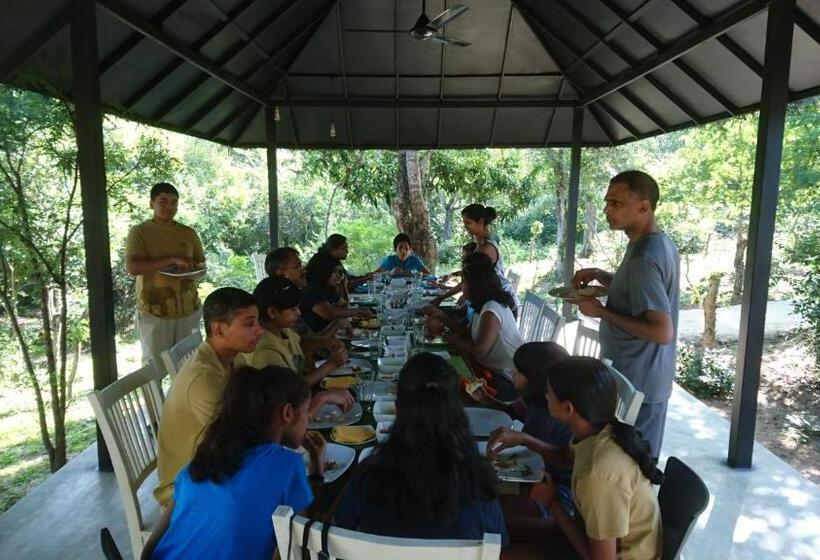 Отель The Backwaters Lodge