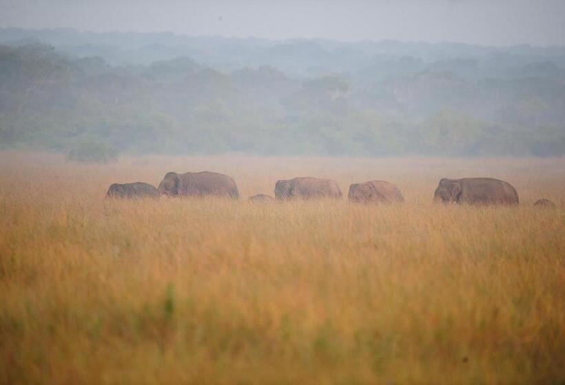 Отель The Backwaters Lodge