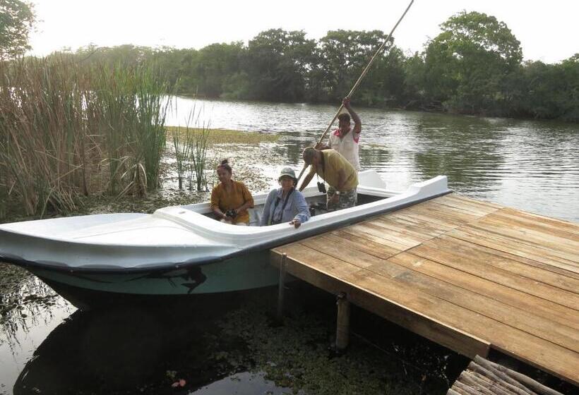 Отель The Backwaters Lodge