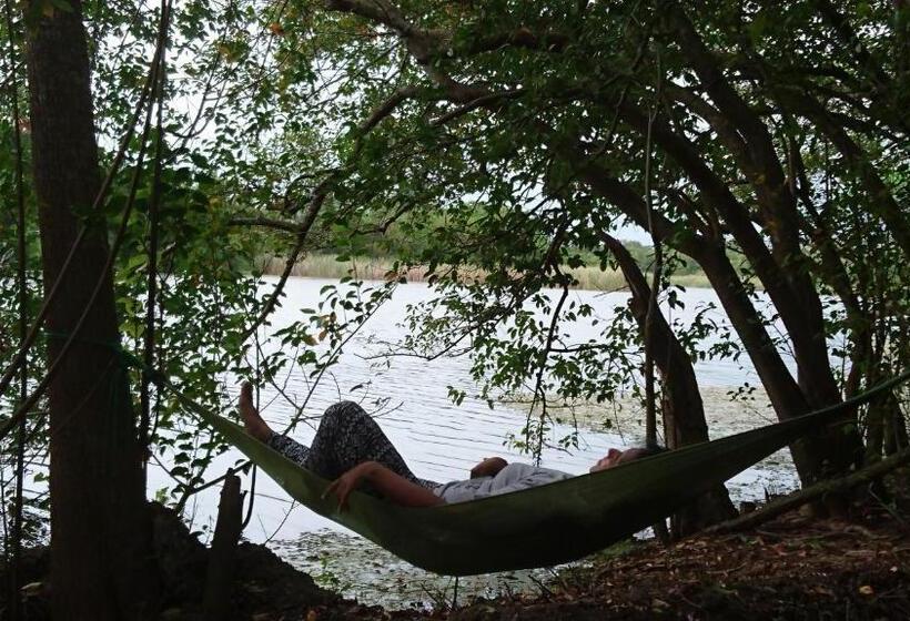 בית מלון כפרי The Backwaters Lodge