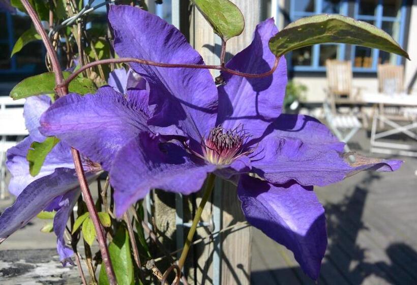 فندق Villa Hasselbacken