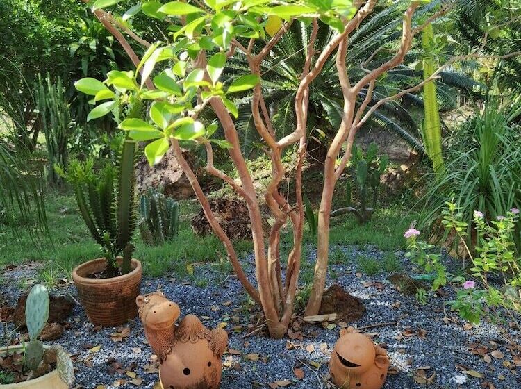 בית מלון כפרי Wangnamkhao Resort