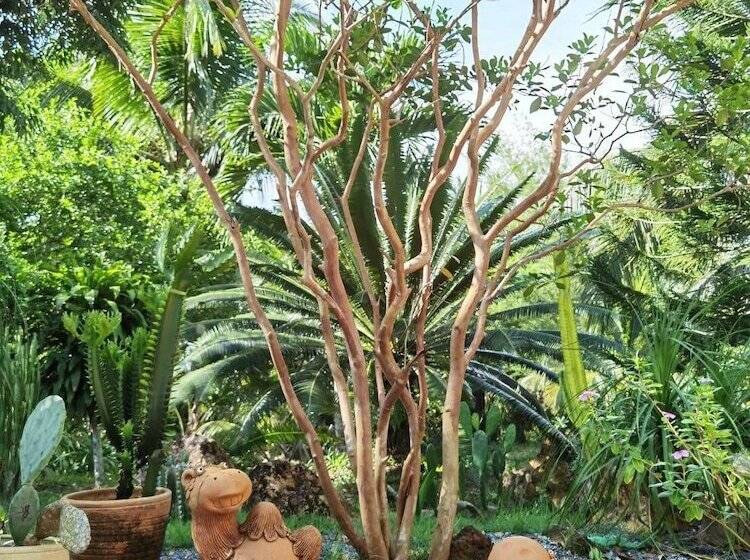 בית מלון כפרי Wangnamkhao Resort