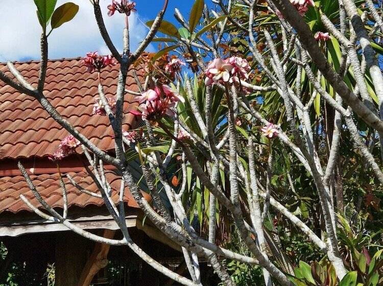 בית מלון כפרי Wangnamkhao Resort