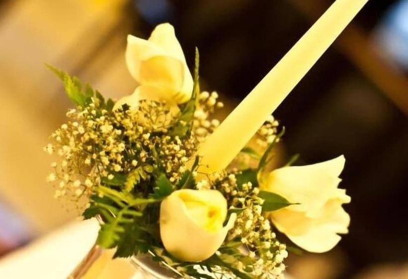 فندق Yellow Park