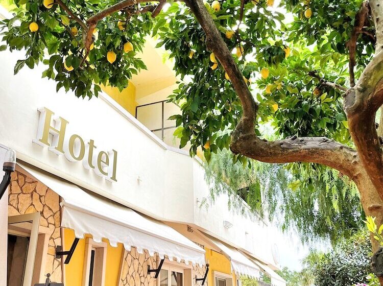 فندق Yellow Park