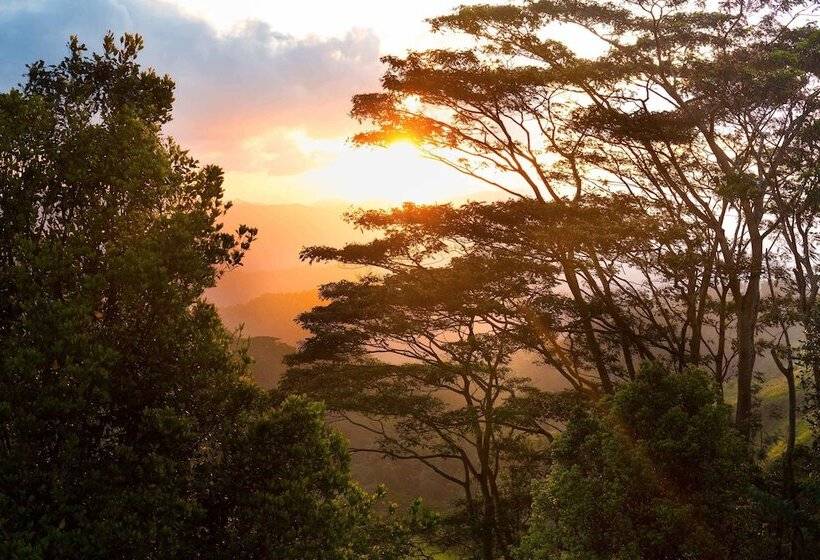 ペンション Ashburnham Estate